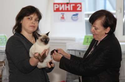 �������� ����� '������� ���-�����' 30 ������-1 ������� 2013., WCF-����� 2577